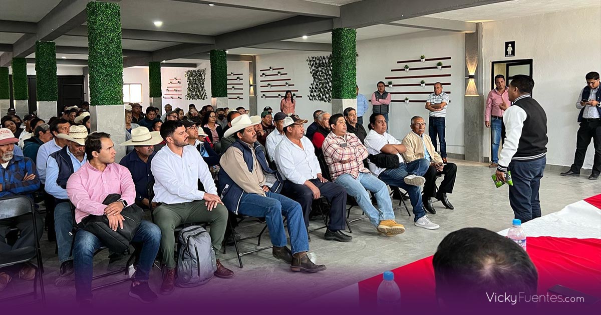 Puebla fortalece la producción local de frijol con tecnología y apoyo gubernamental
