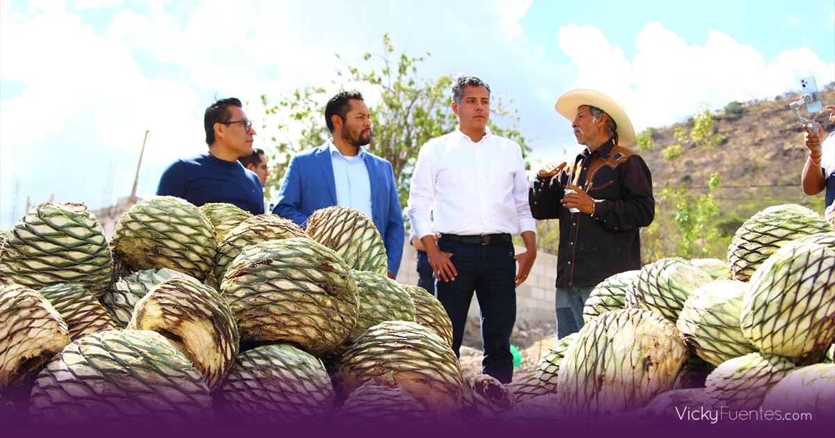 Impulso al sector mezcalero: Gobierno de la Ciudad de Puebla apoya a productores con capacitación y asesoría