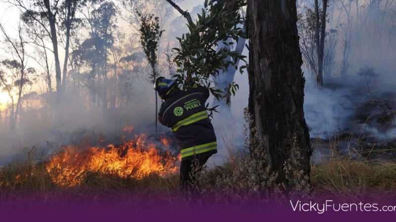 Hasta 10 años de cárcel por incendios provocados en Puebla