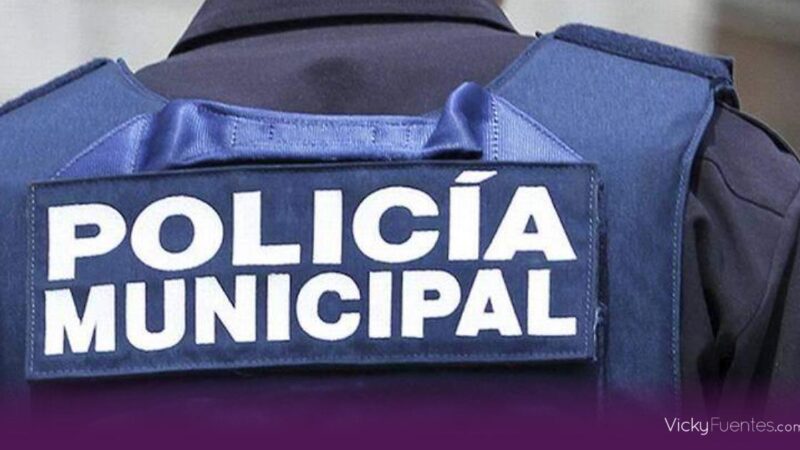 Análisis de seis perfiles para liderar la SSC Puebla tras renuncia de Rosales Solís
