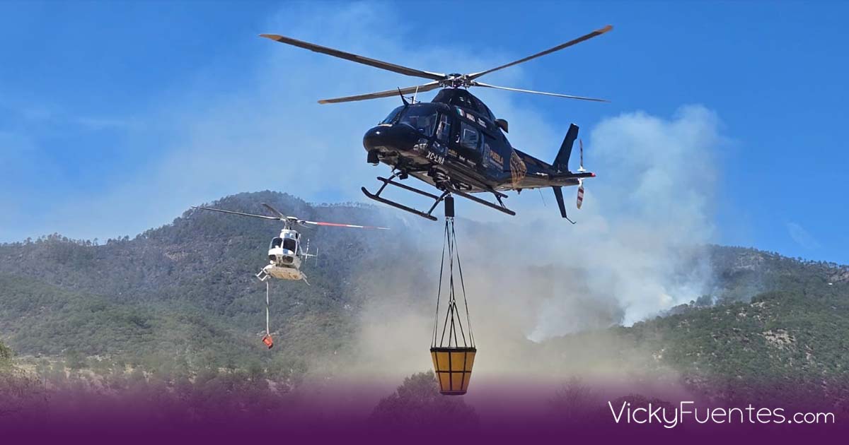 Detienen a dos por incendios forestales provocados en Puebla