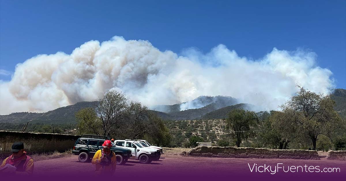 Avanzan labores para controlar incendios forestales en Libres y la región de Tlaxcala