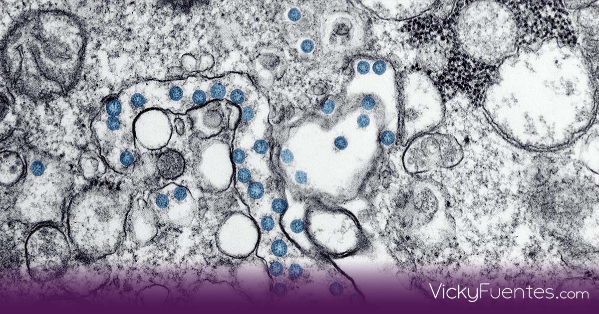 Muere niña de 3 años por influenza aviar H5N1 en Coahuila; es el primer caso humano en México