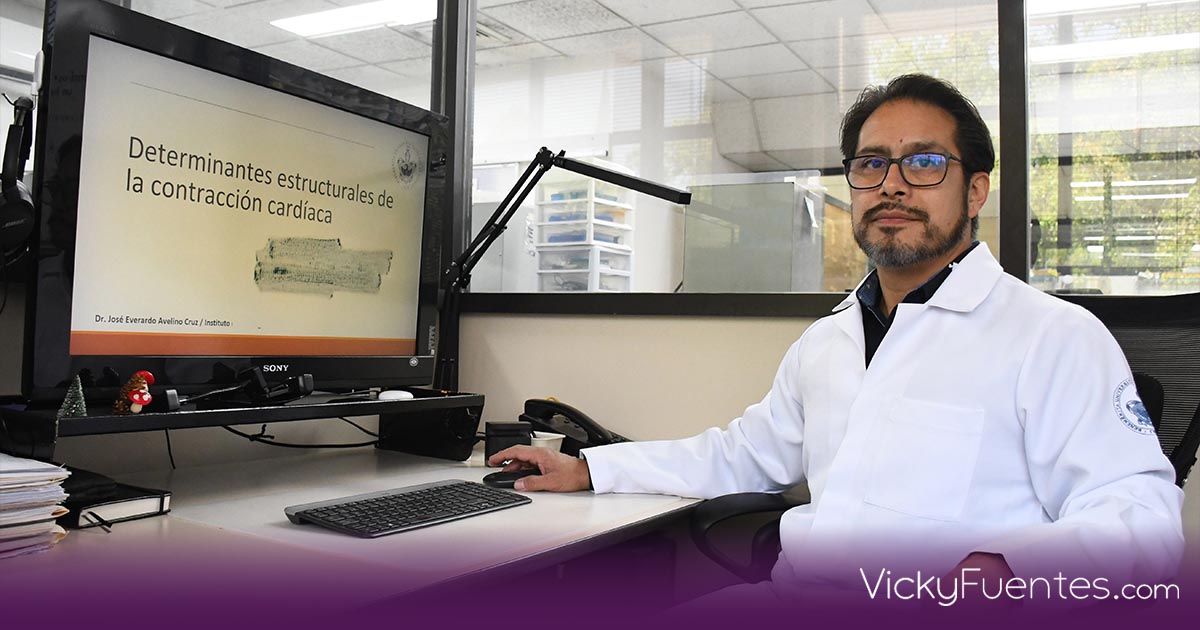 Investigador de la BUAP analiza cómo se alteran las células del corazón en enfermedades cardiovasculares