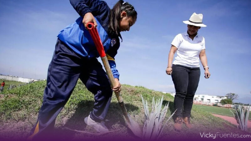 Lupita Cuautle encabeza reforestación en San Andrés por el Día del Medio Ambiente