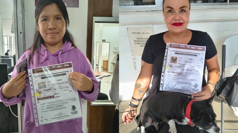 Puebla descarta el RUAC y mantiene su propio padrón voluntario para perros y gatos
