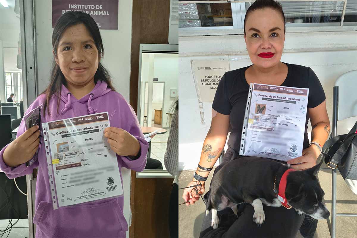 Puebla descarta el RUAC y mantiene su propio padrón voluntario para perros y gatos