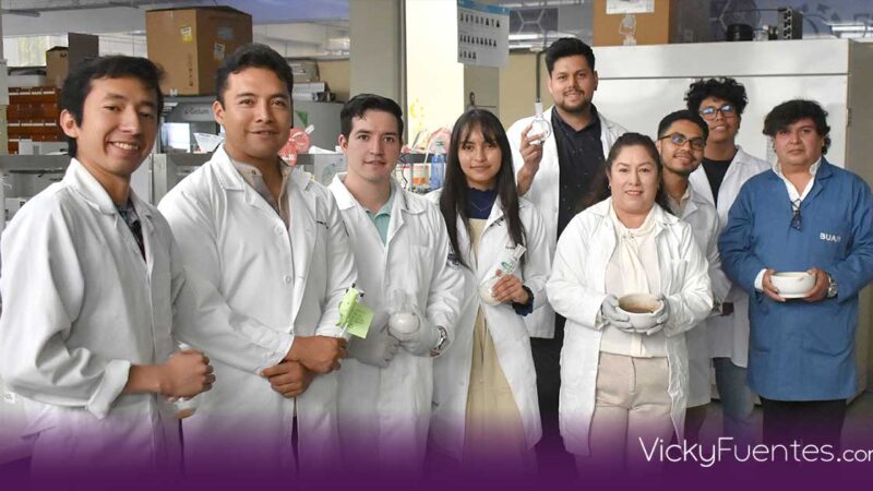 Patente de la BUAP: Compuesto del barbasco inhibe hasta 90 % el cáncer de mama
