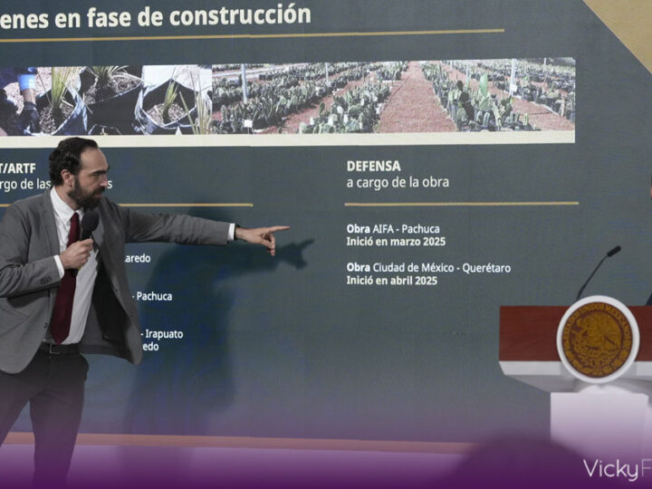 Trenes México–Pachuca y México–Querétaro generarán 260 mil empleos en 2025