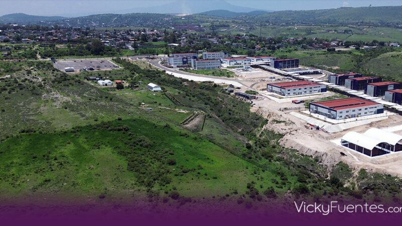BUAP capacita en manejo de fauna para prevenir accidentes y proteger biodiversidad en CU2