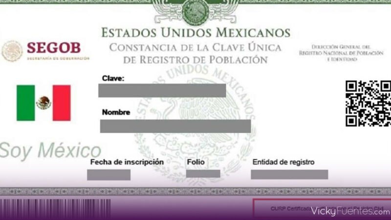 Cómo obtener la CURP certificada en línea y qué cambios trae para 2025