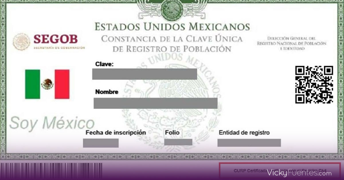 Cómo obtener la CURP certificada en línea y qué cambios trae para 2025