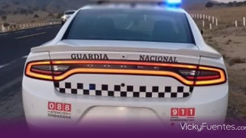 Delincuentes clonan patrulla de GN y roban camión en la Puebla-Orizaba