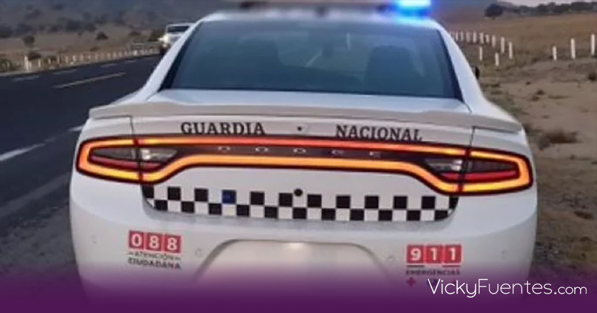 Delincuentes clonan patrulla de GN y roban camión en la Puebla-Orizaba