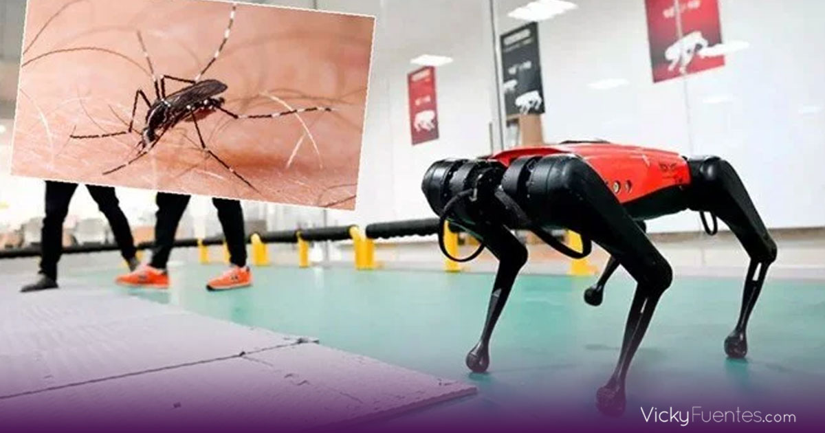 Hong Kong combate el virus Chikungunya con perros robot fumigadores