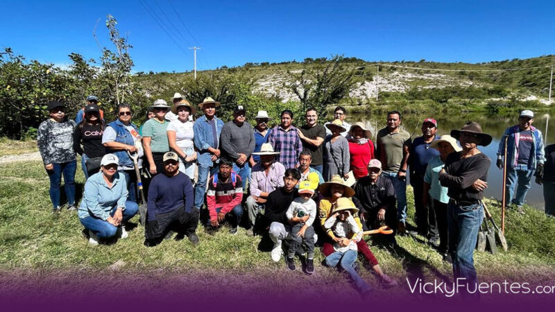 Pepe Chedraui impulsa reforestación en Puebla con 530 nuevos árboles nativos