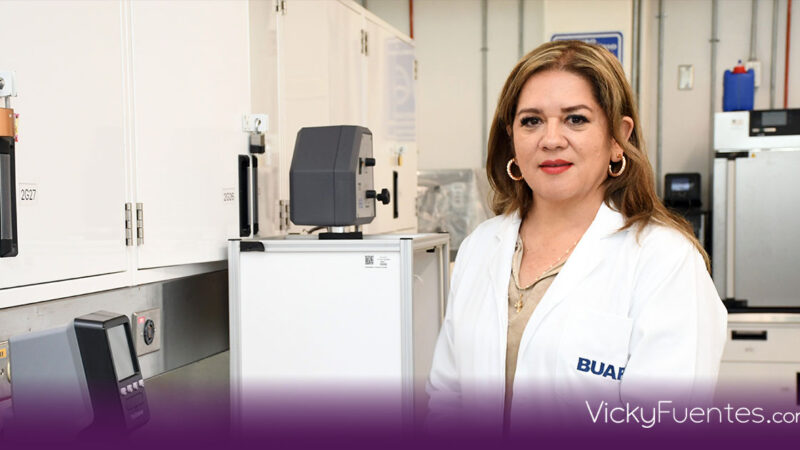 Innovación de la BUAP: desarrollan un suplemento de Tecoma stans para prevenir la diabetes