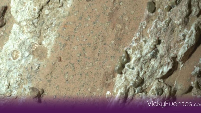 Descubiertas en Marte rocas con “Manchas de Leopardo” que podrían ser las señales más convincentes de vida pasada