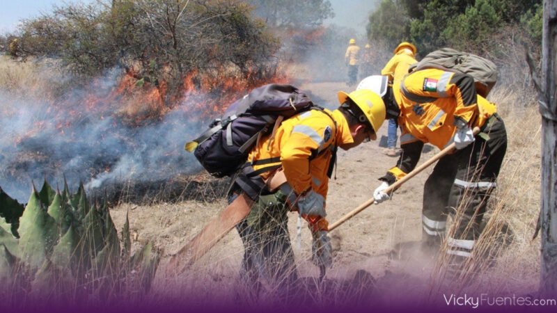 Policía Forestal de Puebla ejecuta 450 operativos y refuerza vigilancia ambiental