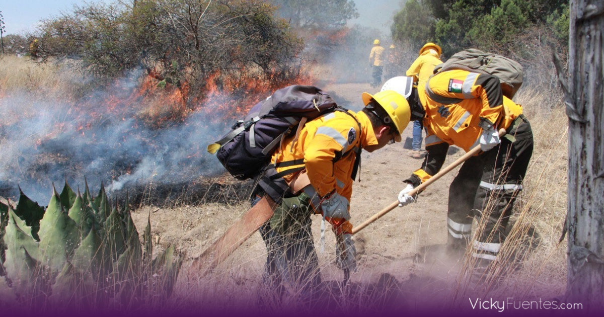 Policía Forestal de Puebla ejecuta 450 operativos y refuerza vigilancia ambiental