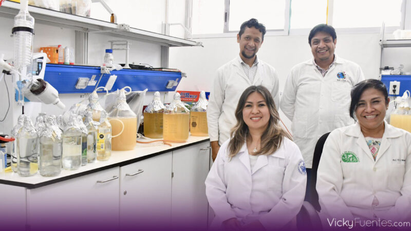 Inocrep, el inoculante de la BUAP que revoluciona la agricultura mexicana