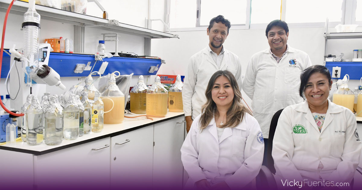 Inocrep, el inoculante de la BUAP que revoluciona la agricultura mexicana