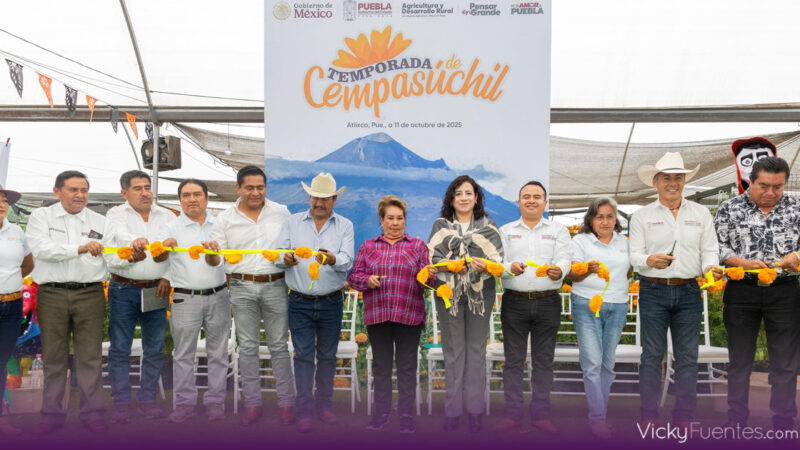 Puebla florece con el inicio de la temporada de cempasúchil 2025