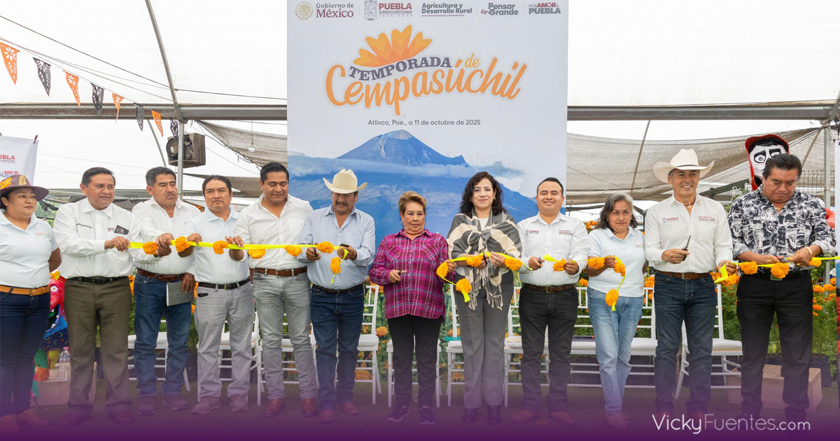 Puebla florece con el inicio de la temporada de cempasúchil 2025