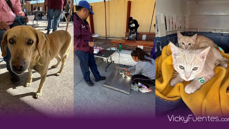 Acercan servicios gratuitos de bienestar animal a colonias de Puebla