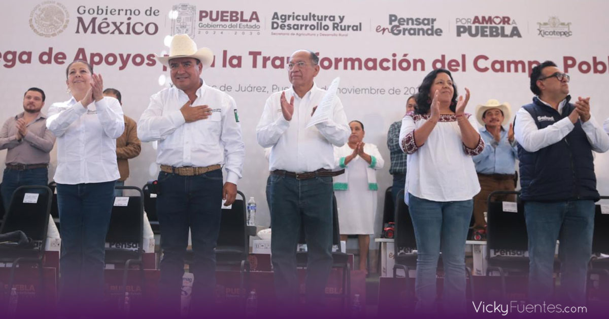 Gobierno de Puebla entrega más de 2 mil becas de conectividad en Xicotepec