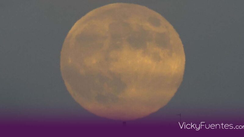 Cuándo y cómo ver la ‘Luna del castor’: la superluna más espectacular de 2025 en México