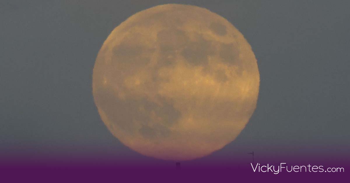 Cuándo y cómo ver la ‘Luna del castor’: la superluna más espectacular de 2025 en México