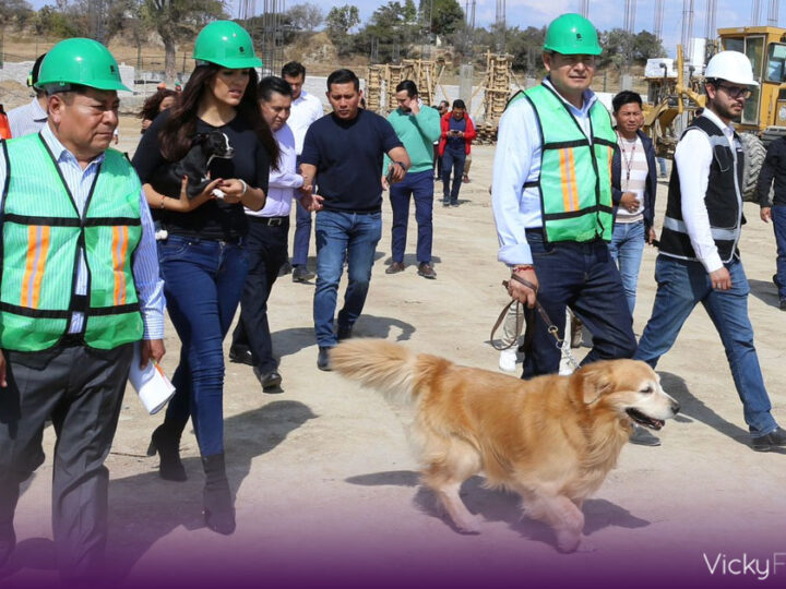 Alejandro Armenta exhorta a evitar compras impulsivas de mascotas y promover la adopción
