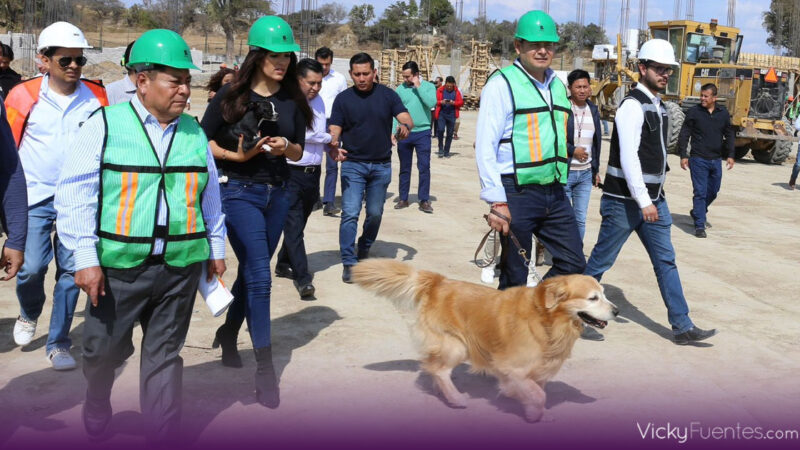 Alejandro Armenta exhorta a evitar compras impulsivas de mascotas y promover la adopción