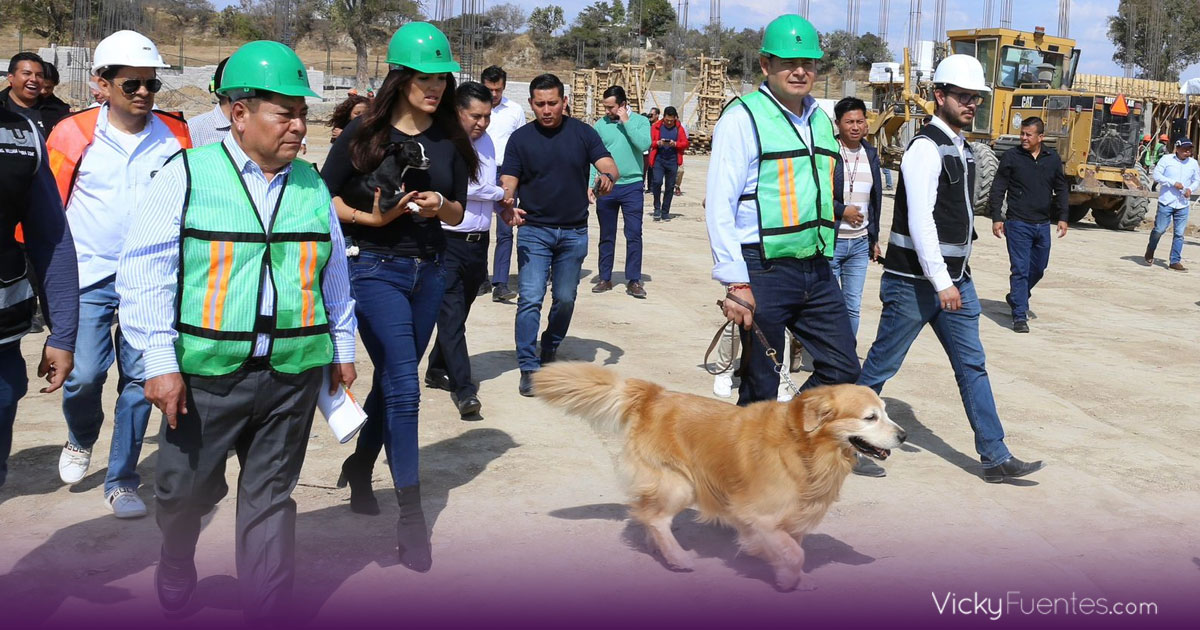 Alejandro Armenta exhorta a evitar compras impulsivas de mascotas y promover la adopción