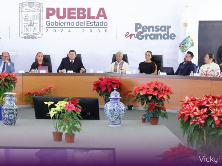 Puebla avanza hacia la soberanía energética con paneles solares en Teziutlán