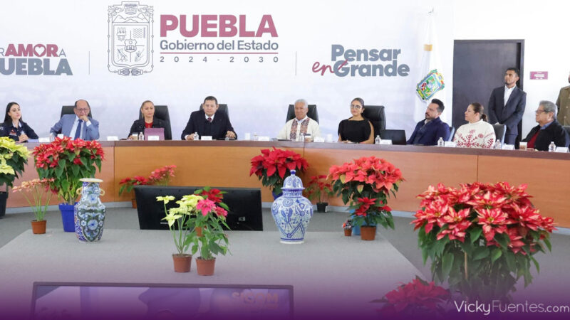 Puebla avanza hacia la soberanía energética con paneles solares en Teziutlán