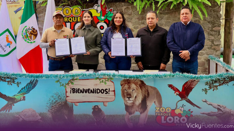 San Andrés Cholula refuerza atención de emergencias con apoyo de Parque Loro