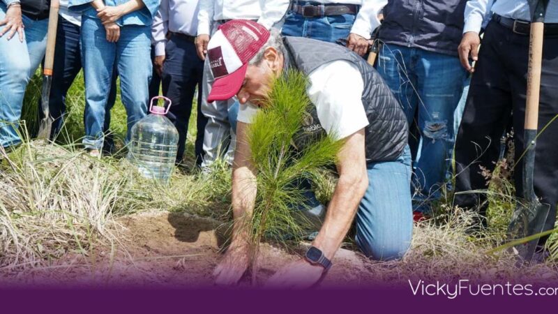 Puebla lidera la agenda verde en 2026: plantarán 100 mil árboles en la capital