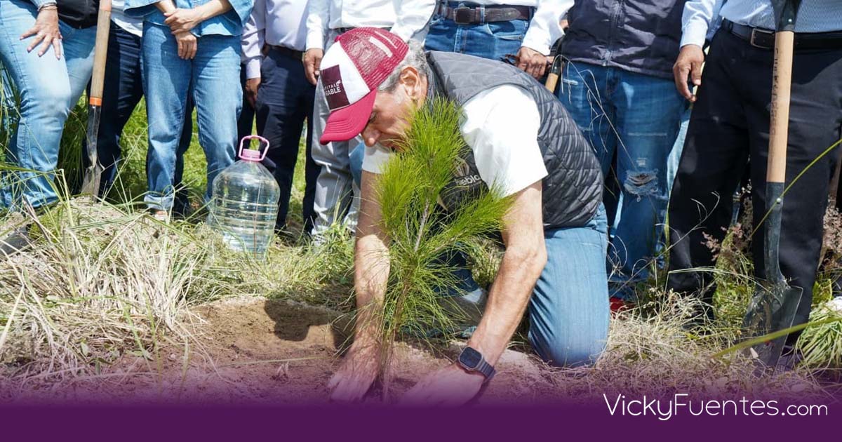 Puebla lidera la agenda verde en 2026: plantarán 100 mil árboles en la capital