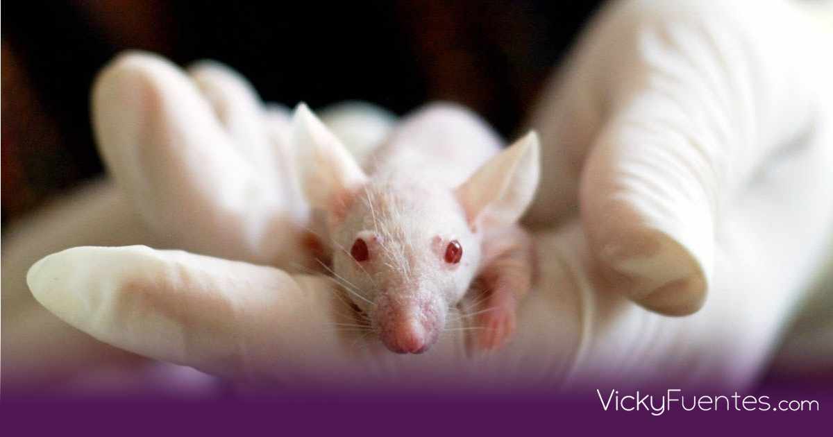 Científicos eliminan el cáncer de páncreas más agresivo en modelos experimentales