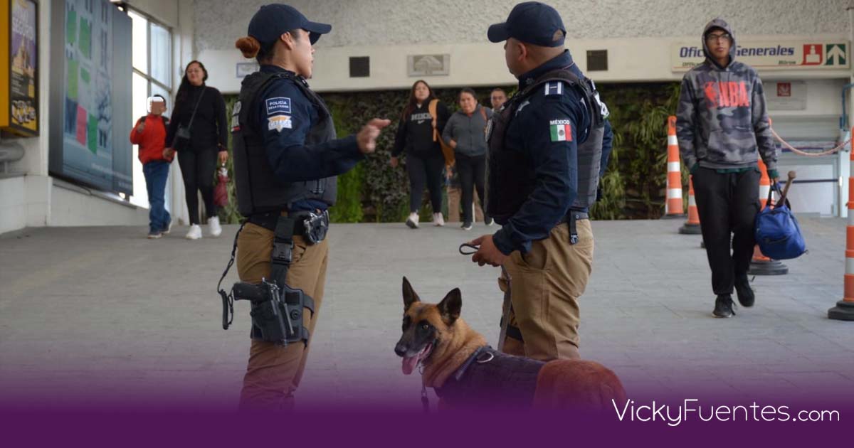 Seguridad en Puebla: reducen tiempos de respuesta y destacan labor de unidad canina