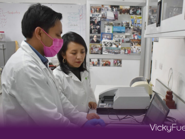 Investigadores de la BUAP estudian el uso de cannabinoides contra la epilepsia y el daño neuronal