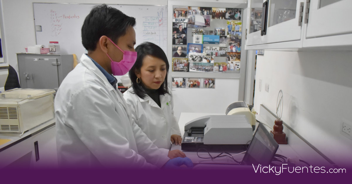 Investigadores de la BUAP estudian el uso de cannabinoides contra la epilepsia y el daño neuronal