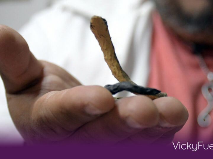 Investigadores de la BUAP descubren nuevo género de serpiente en la Sierra Mixteca de Puebla