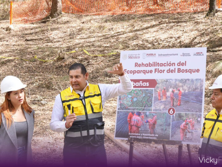 Ecoparque “Pensar en Grande” será el bosque más grande del sur-sureste