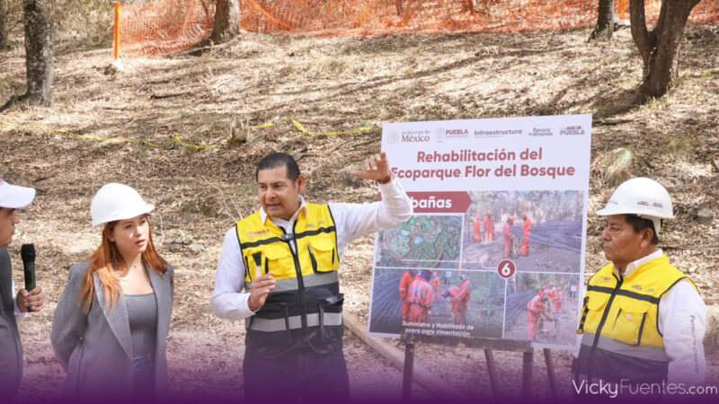 Ecoparque “Pensar en Grande” será el bosque más grande del sur-sureste