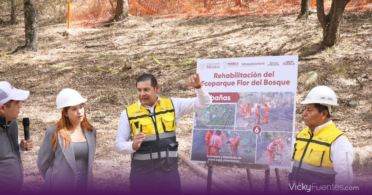 Ecoparque “Pensar en Grande” será el bosque más grande del sur-sureste