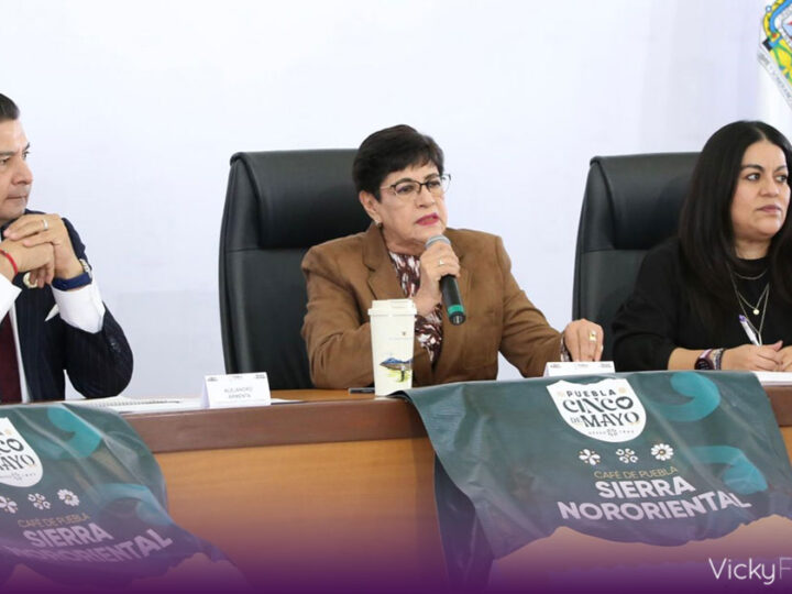 Puebla activa transporte alternativo para garantizar movilidad segura