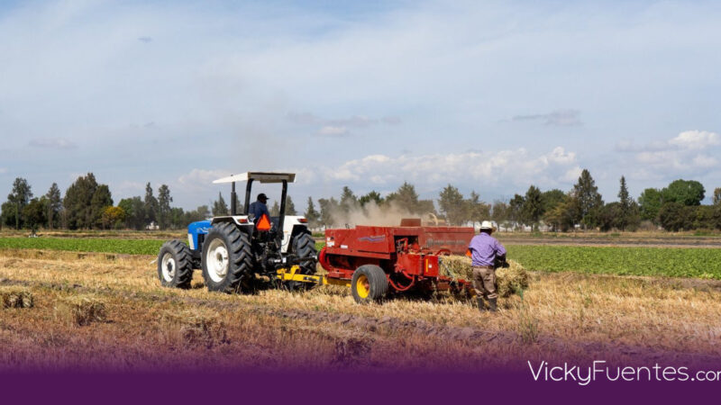 Puebla apuesta por la tecnología agrícola con drones y tractores en 31 microrregiones
